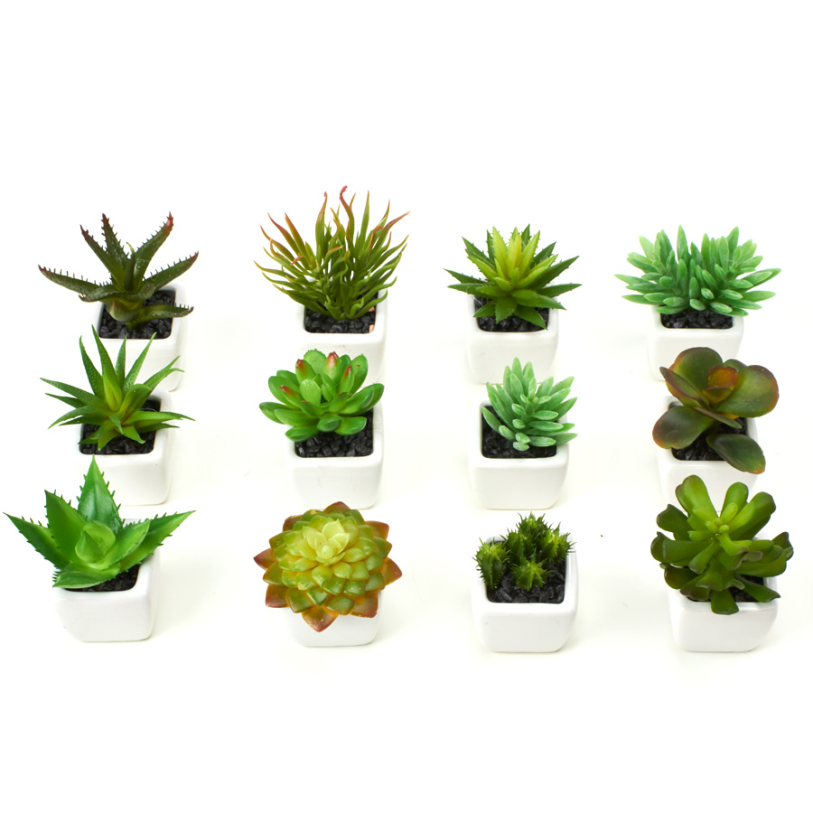 Artificial Assorted Potted Succulents 1&frac34;" 12pc/set - Green