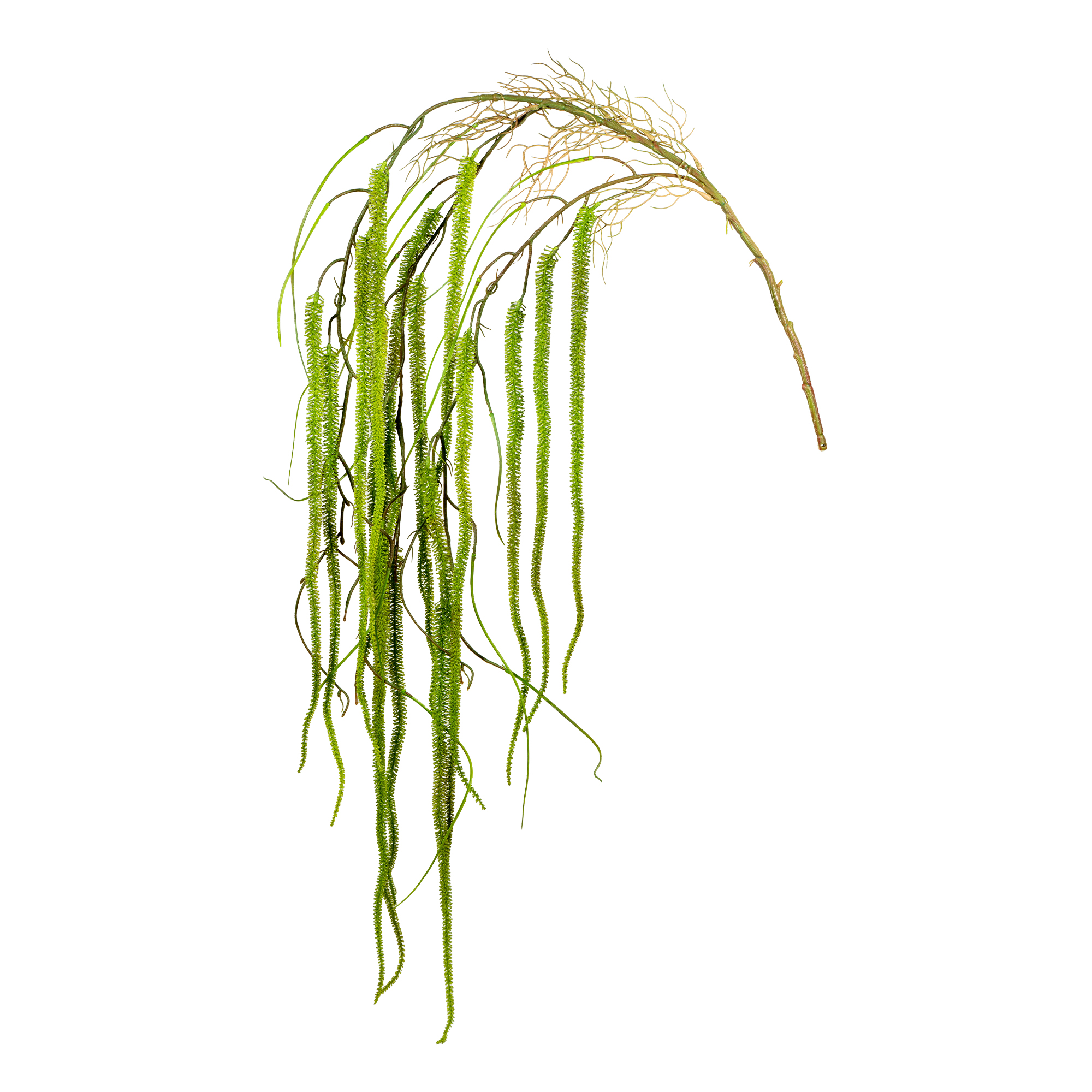 Artificial Hanging Elodea Stems 53"