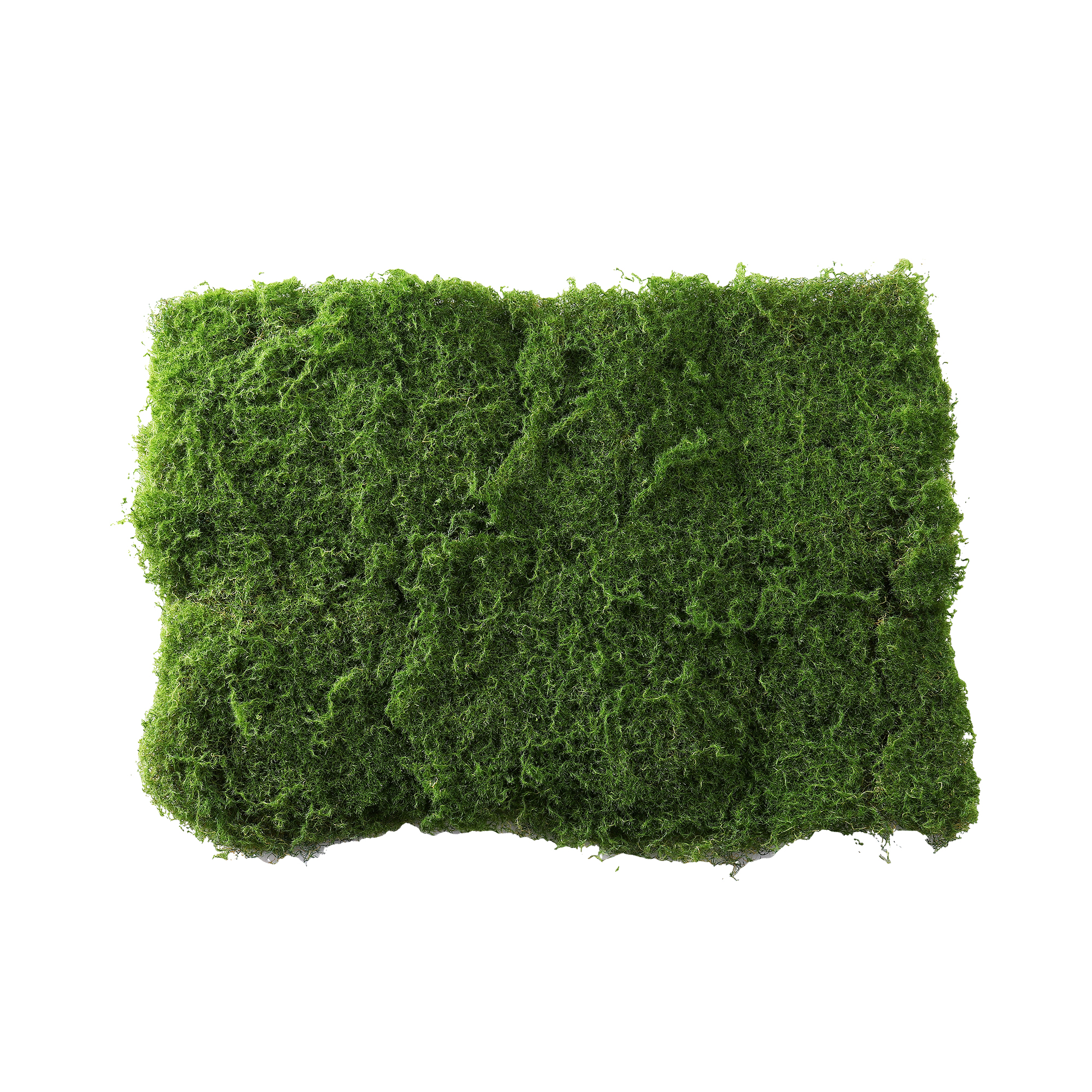 Artificial Moss Mat 24" x 16"