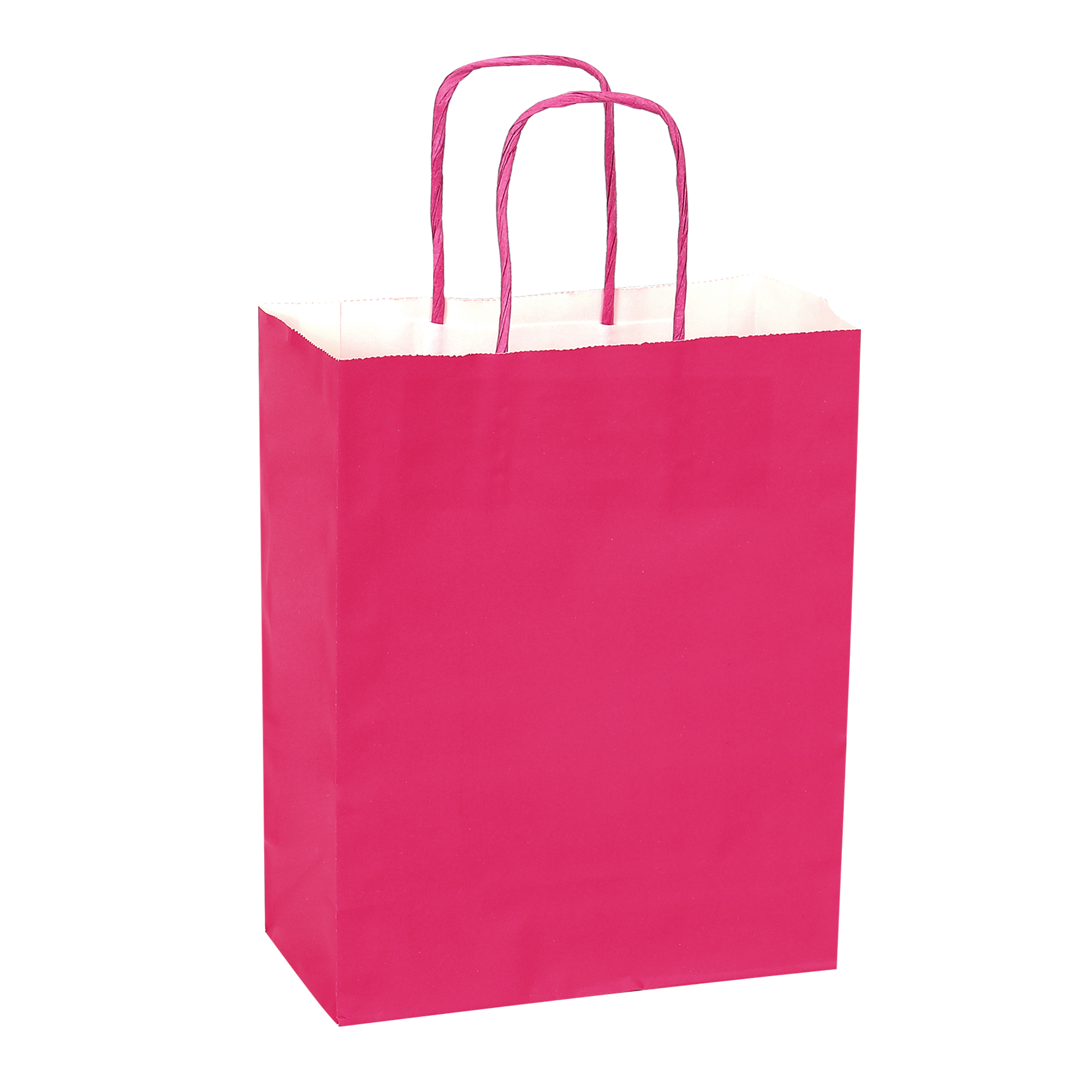 Paper Bags with Handles for Favors & Gifts 6" - Fuschia