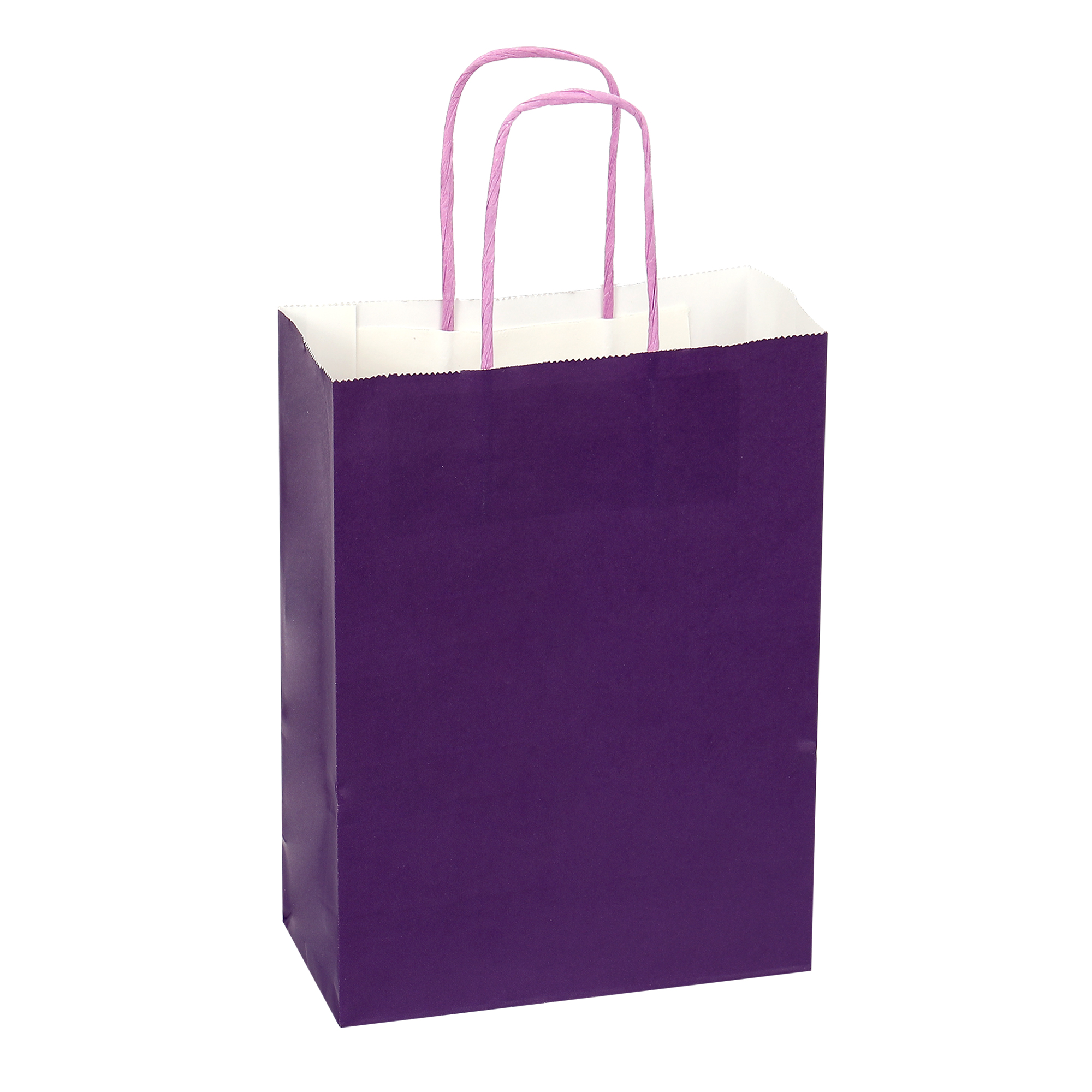 Paper Bags with Handles for Favors & Gifts 8" - Purple