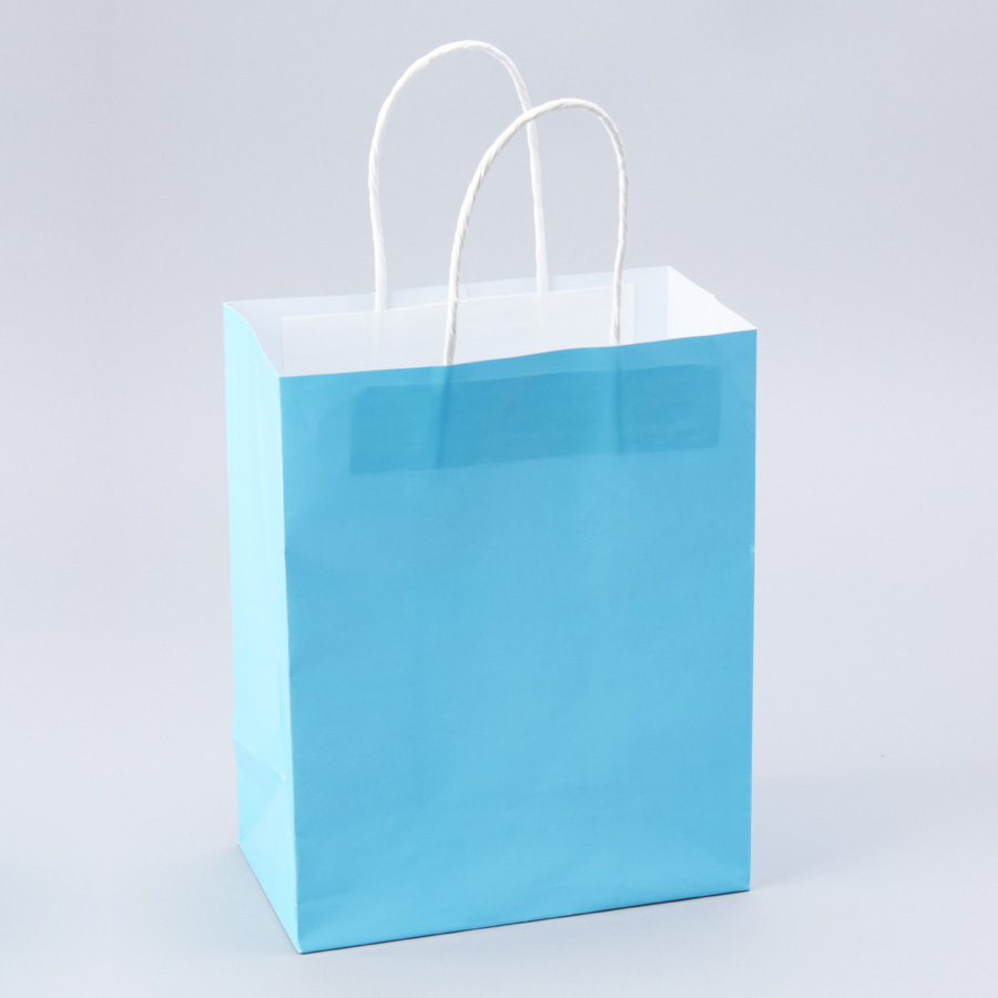 Paper Bags with Handles for Favors & Gifts 10" - Blue