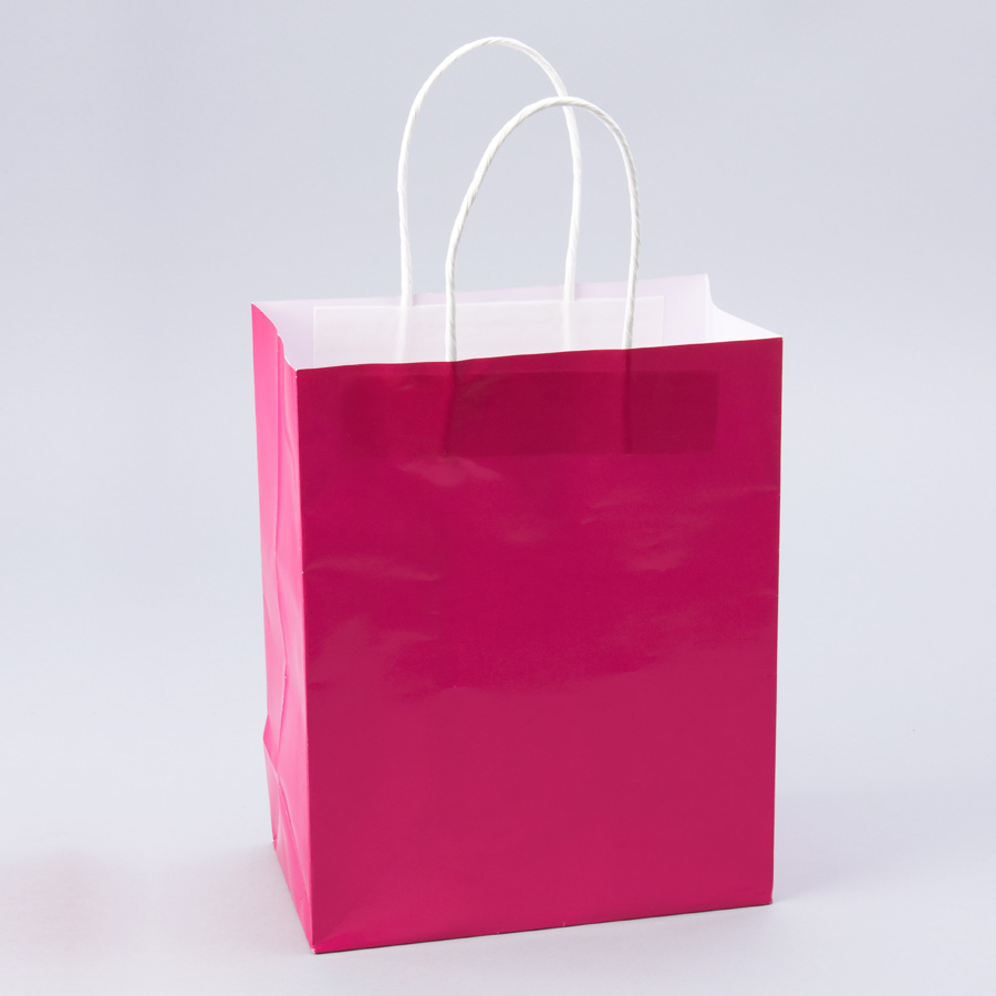 Paper Bags with Handles for Favors & Gifts 10" - Fuchsia