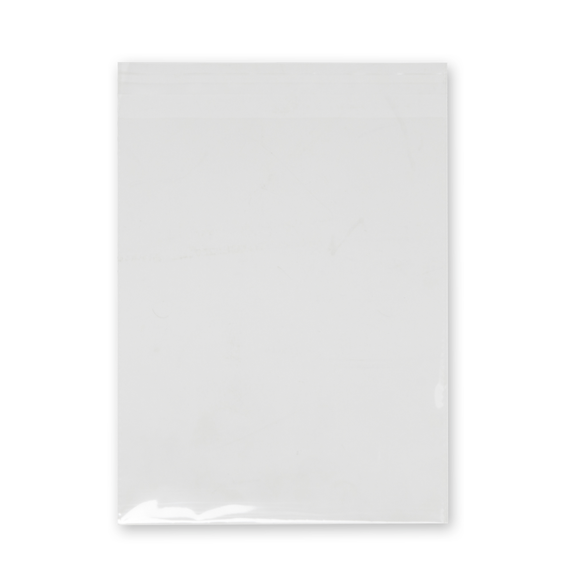 Plastic Archival Bags 5" x 7" 40pc/bag