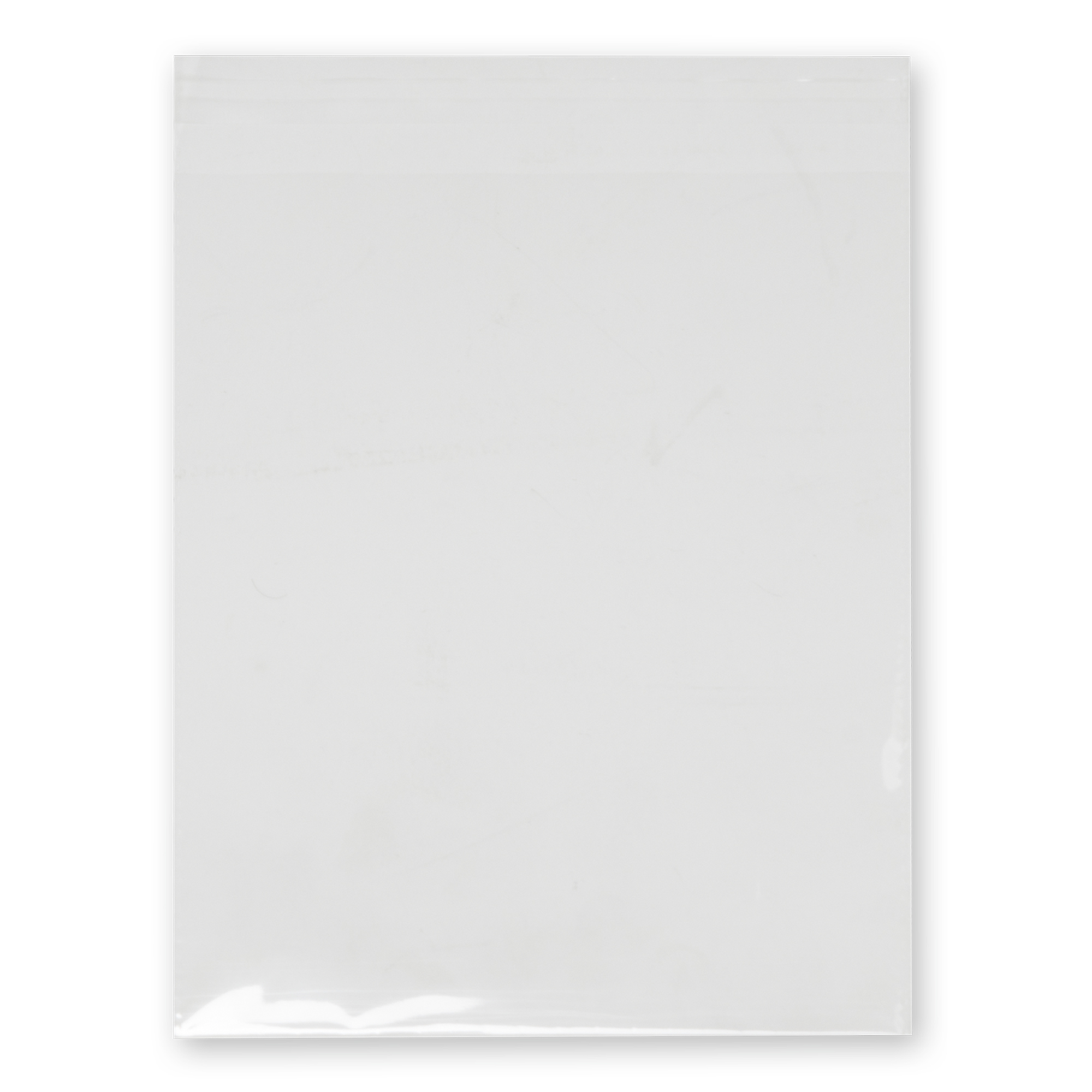 Plastic Archival Bags 6" x 8" 30pc/bag