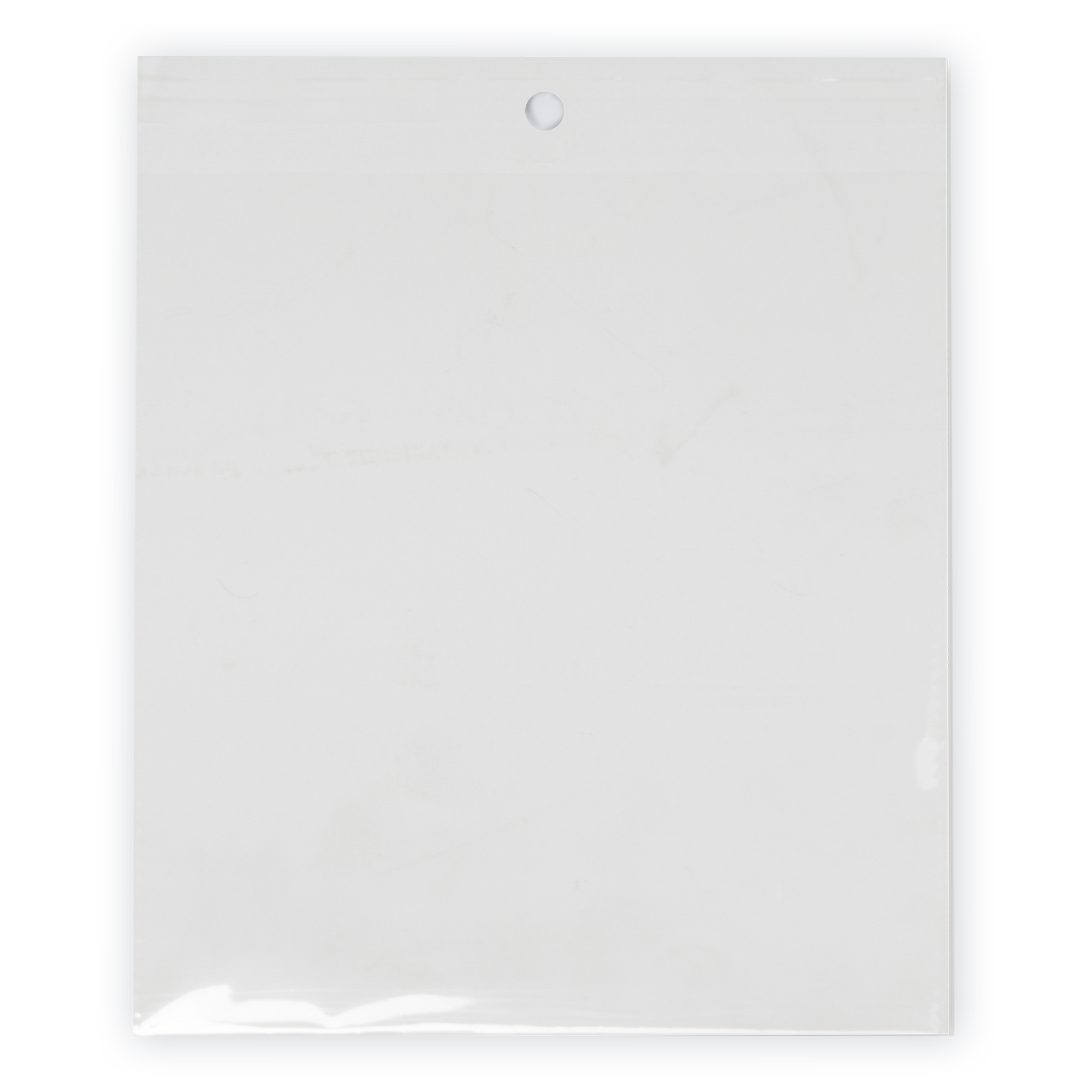 Plastic Hanging Bags 8&frac14;" x 10" 20pc/bag