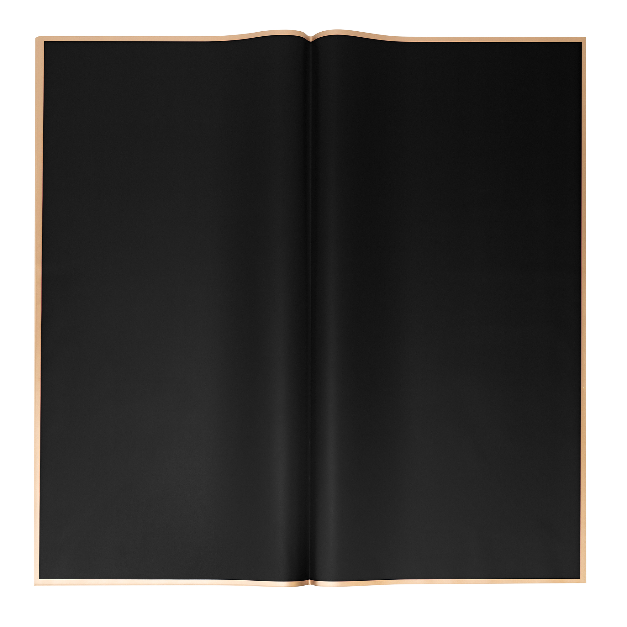 Floral Wrapping Paper With Gold Edge 20pc/pack  - Black